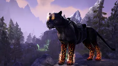 Bethesda The Elder Scrolls Online : Summerset, M (Volwassen