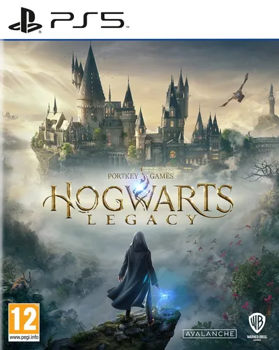 Warner Bros. Games Hogwarts Legacy Standaard Engels